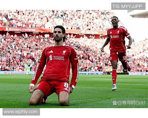 德国与英格兰比赛中的争议判罚引发裁判公正性讨论