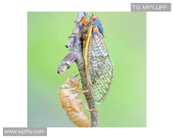 火山鸣泉与陕西的奇妙对话探索自然与人文的交融之美