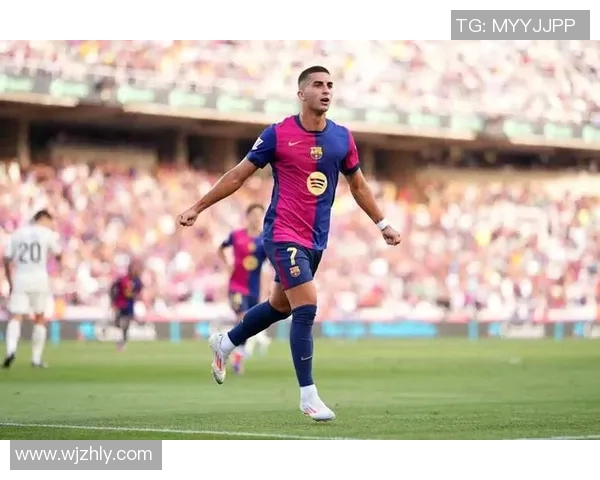 费兰托雷斯的成长之路：从青训新星到世界足坛的璀璨明珠