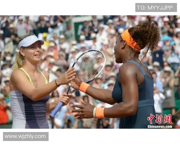 伊万与莎娃的巅峰对决谁能在这场精彩较量中胜出