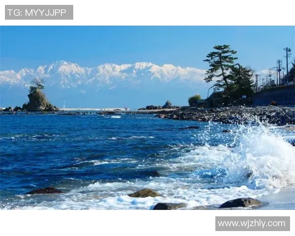 德岛漩涡与爱媛的魅力对决探索两地文化与自然的独特风情