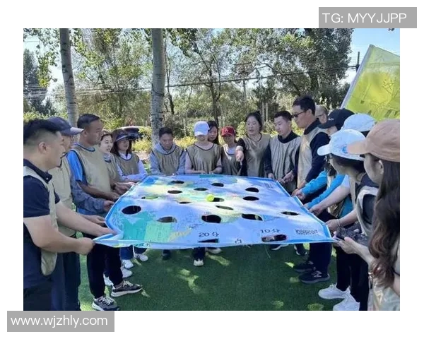 科学飞盘团队协作训练方法探索与实践提升团队凝聚力与沟通能力MBA