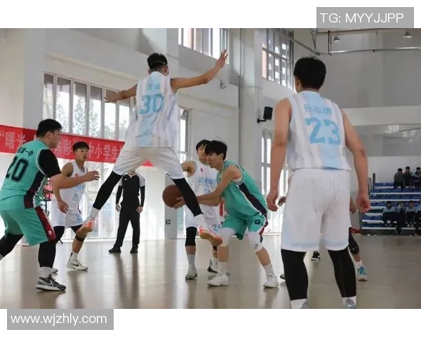 对话杨芳：回顾篮球生涯的辉煌与挑战，展望未来的无限可能