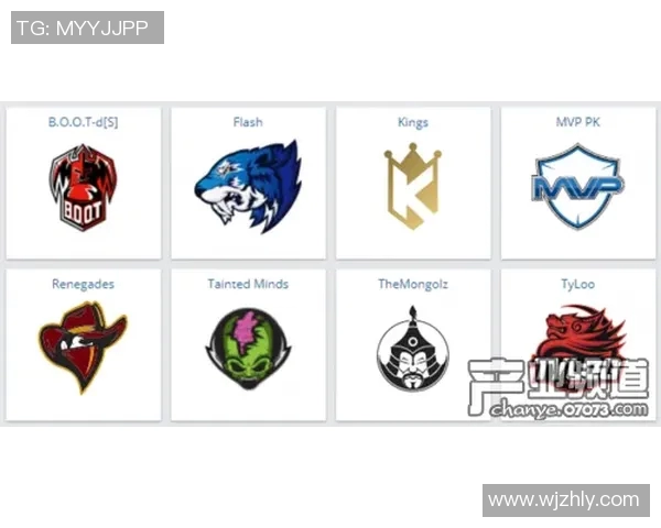 权威发布：CSGO配合实力榜单揭示顶尖战队新动态与实力对比