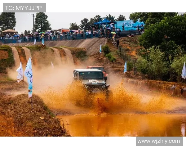 深圳极限运动队转型之路：挑战与机遇并存的得失分析